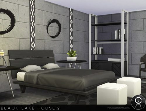 Black Lake House 2