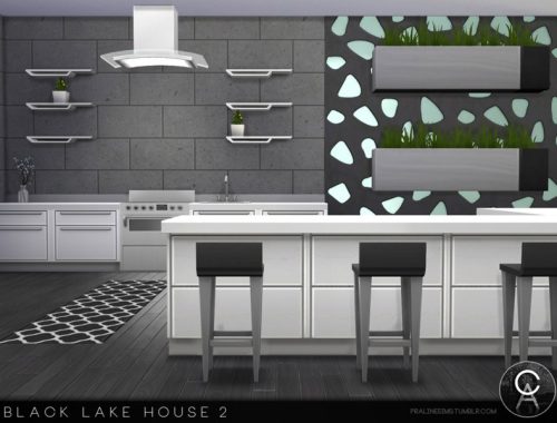 Black Lake House 2
