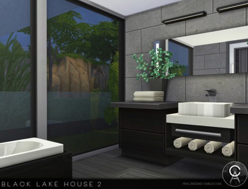 Black Lake House 2