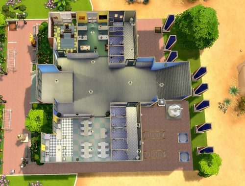 Havard School