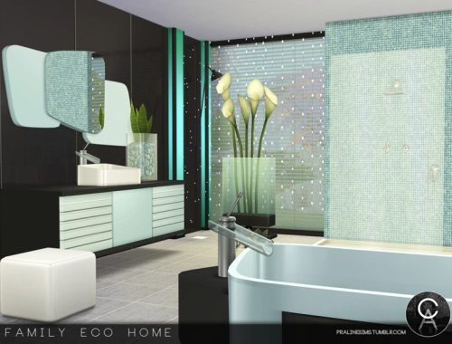 Family Eco Home