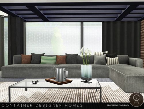 Container Designer Home 2