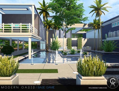 Modern Oasis