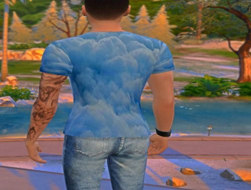 Adidas Shirt