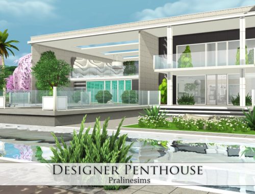 Designer Penthouse