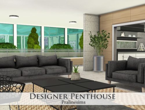 Designer Penthouse