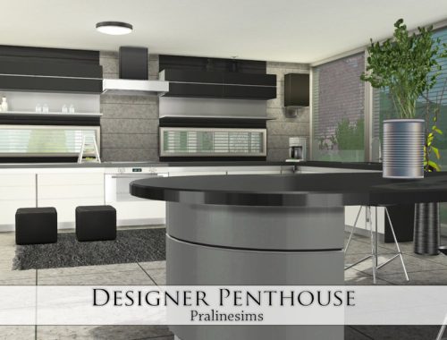 Designer Penthouse
