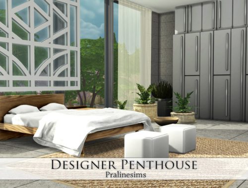 Designer Penthouse