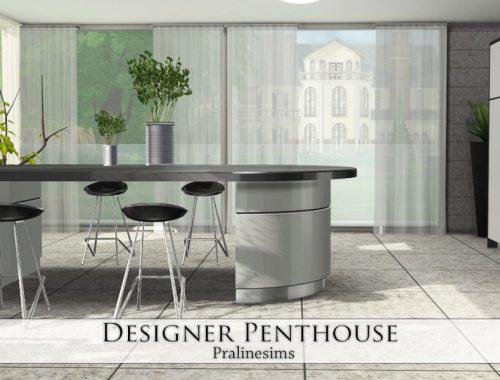 Designer Penthouse