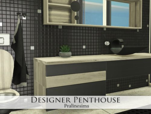 Designer Penthouse