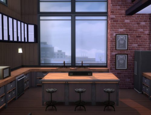 Industrial Penthouse