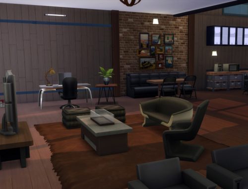 Industrial Penthouse