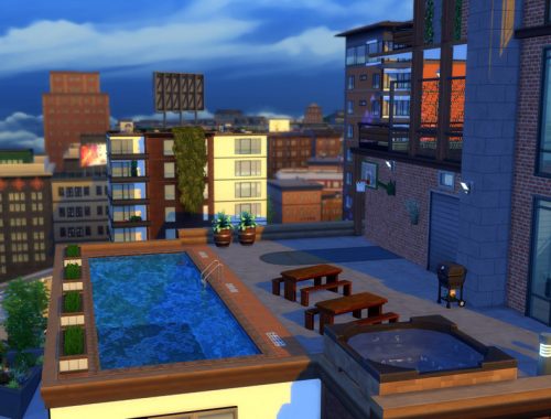 Industrial Penthouse