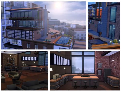 Industrial Penthouse