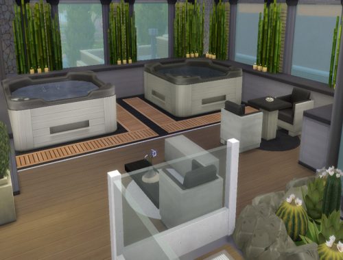 Lotus Spa & Gym - No CC