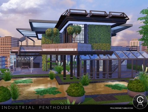 Industrial Penthouse