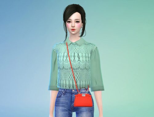 Chiffon collared blouse - mesh needed