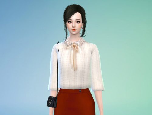 Chiffon collared blouse - mesh needed