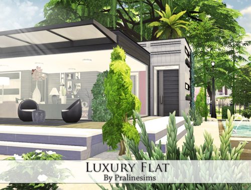 Luxury Flat