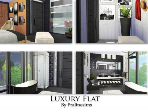 Luxury Flat