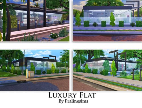Luxury Flat