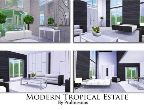 Modern Tropical Estate