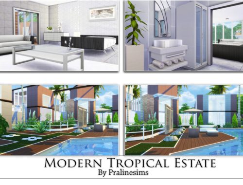 Modern Tropical Estate