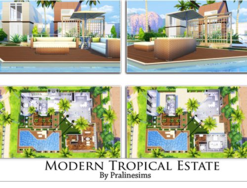 Modern Tropical Estate