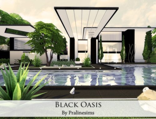 Black Oasis