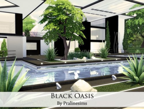 Black Oasis