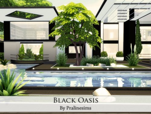 Black Oasis