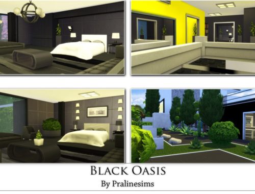Black Oasis
