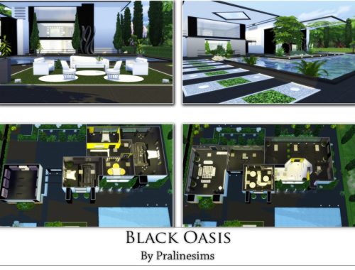 Black Oasis