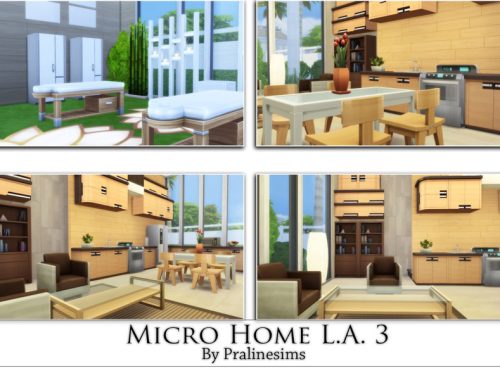 Micro Home L.A. 3