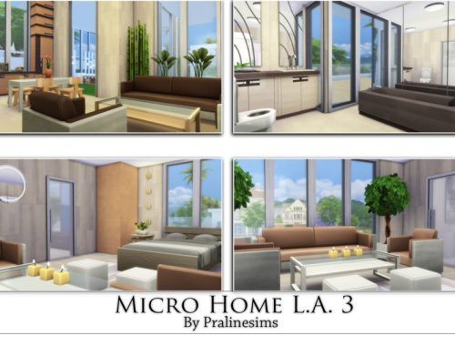 Micro Home L.A. 3