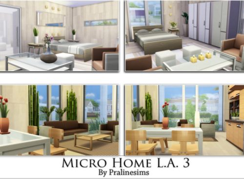 Micro Home L.A. 3