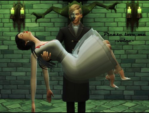 Voice - Please Love Me - ingame pose