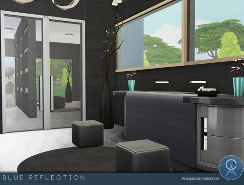 Blue Reflection
