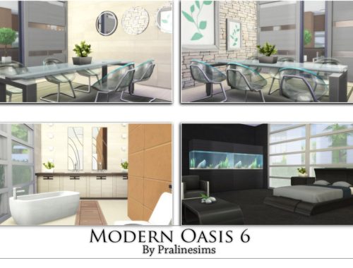 Modern Oasis 6