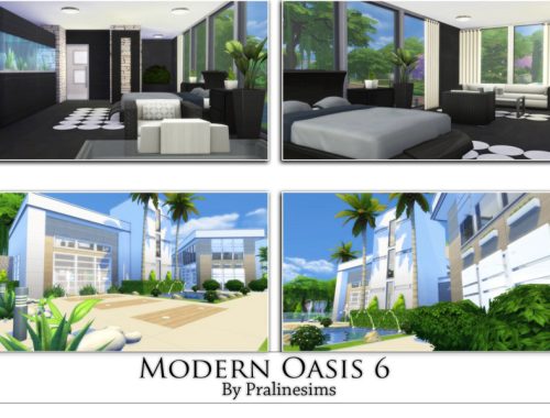 Modern Oasis 6