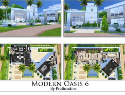 Modern Oasis 6