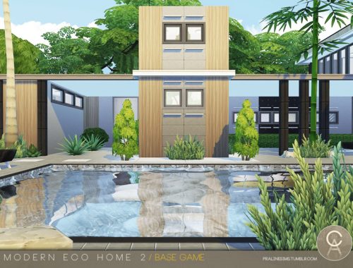 Modern Eco Home 2