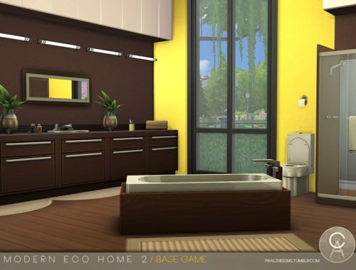 Modern Eco Home 2