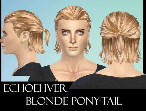 Echoehver Male Pony-Tail Recolor - Get Together needed