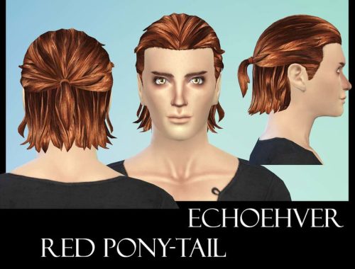 Echoehver Male Pony-Tail Recolor - Get Together needed