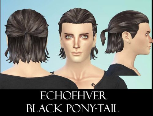 Echoehver Male Pony-Tail Recolor - Get Together needed