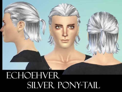Echoehver Male Pony-Tail Recolor - Get Together needed