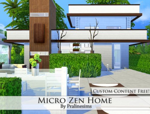 Micro Zen Home