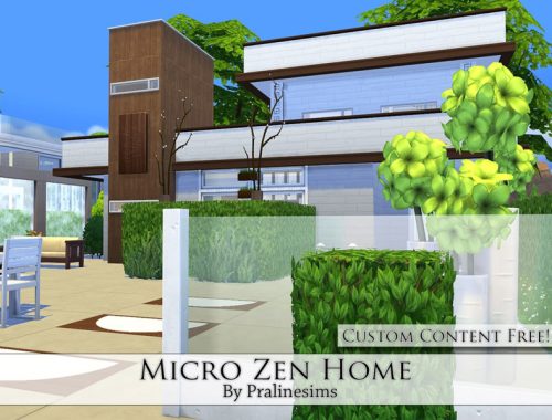 Micro Zen Home