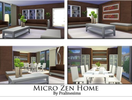 Micro Zen Home